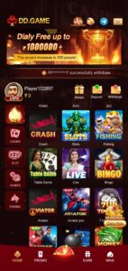 DD GAME APK